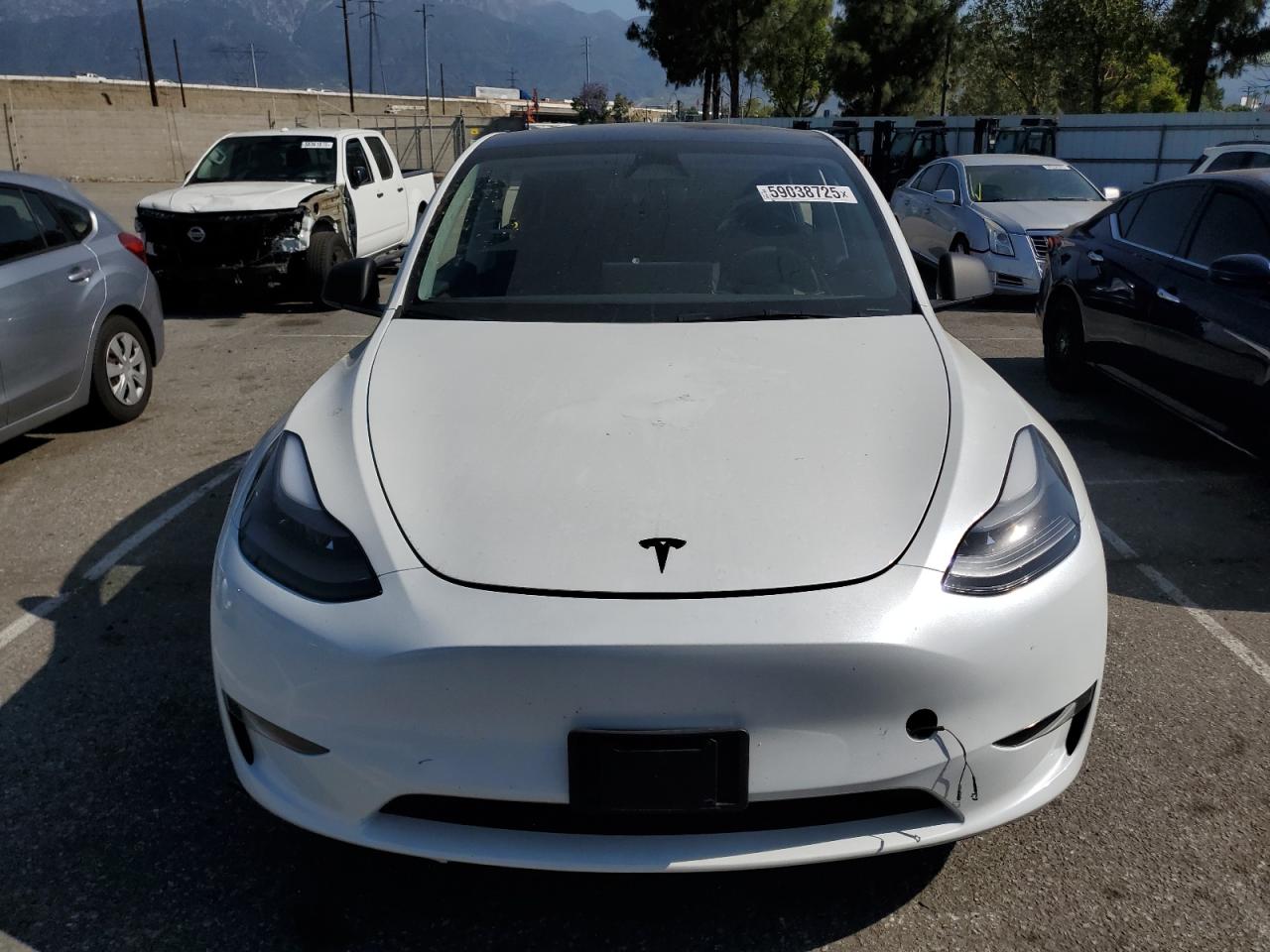 TESLA Model Y 2024