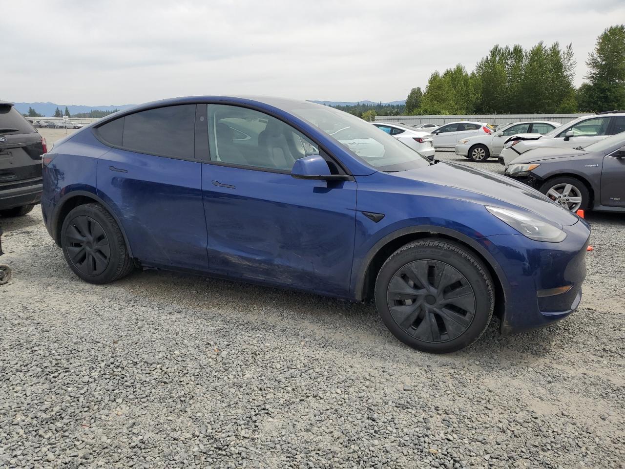 TESLA Model Y 2025