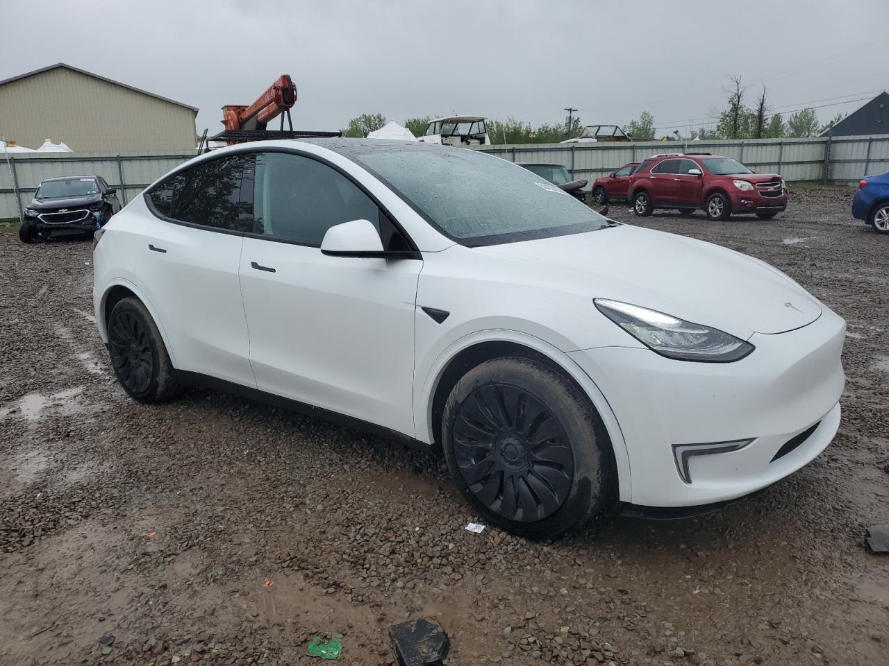 TESLA Model Y 2023
