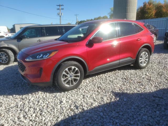 FORD Escape SE 2020