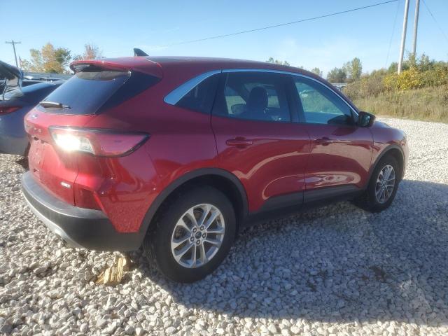 FORD Escape SE 2020