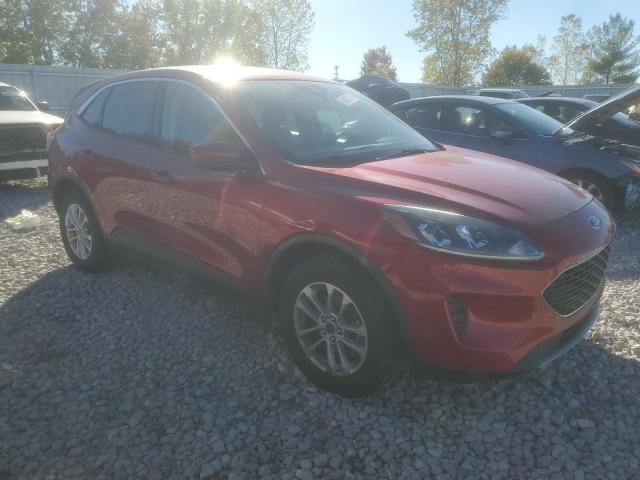 FORD Escape SE 2020