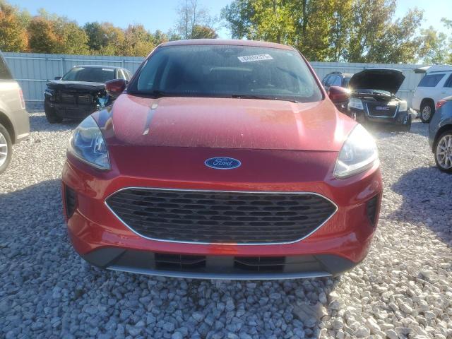 FORD Escape SE 2020