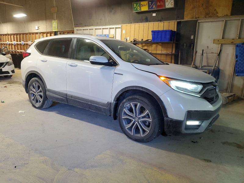 HONDA CR-V EXL 2022