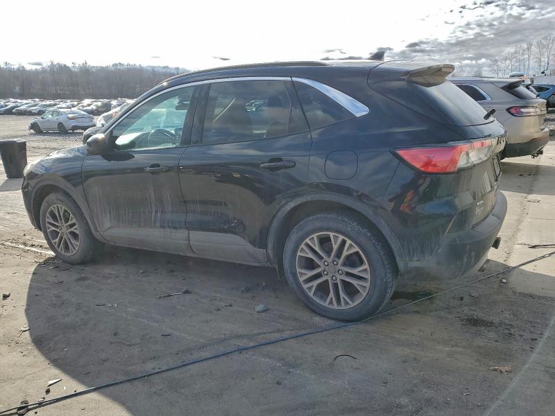 FORD Escape SEL 2020