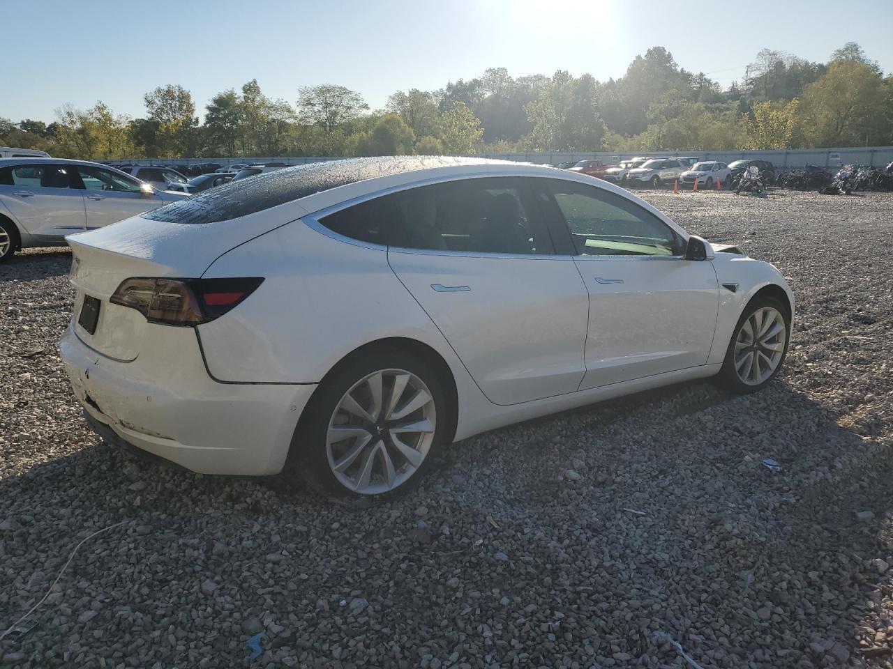 TESLA MODEL 3 2019