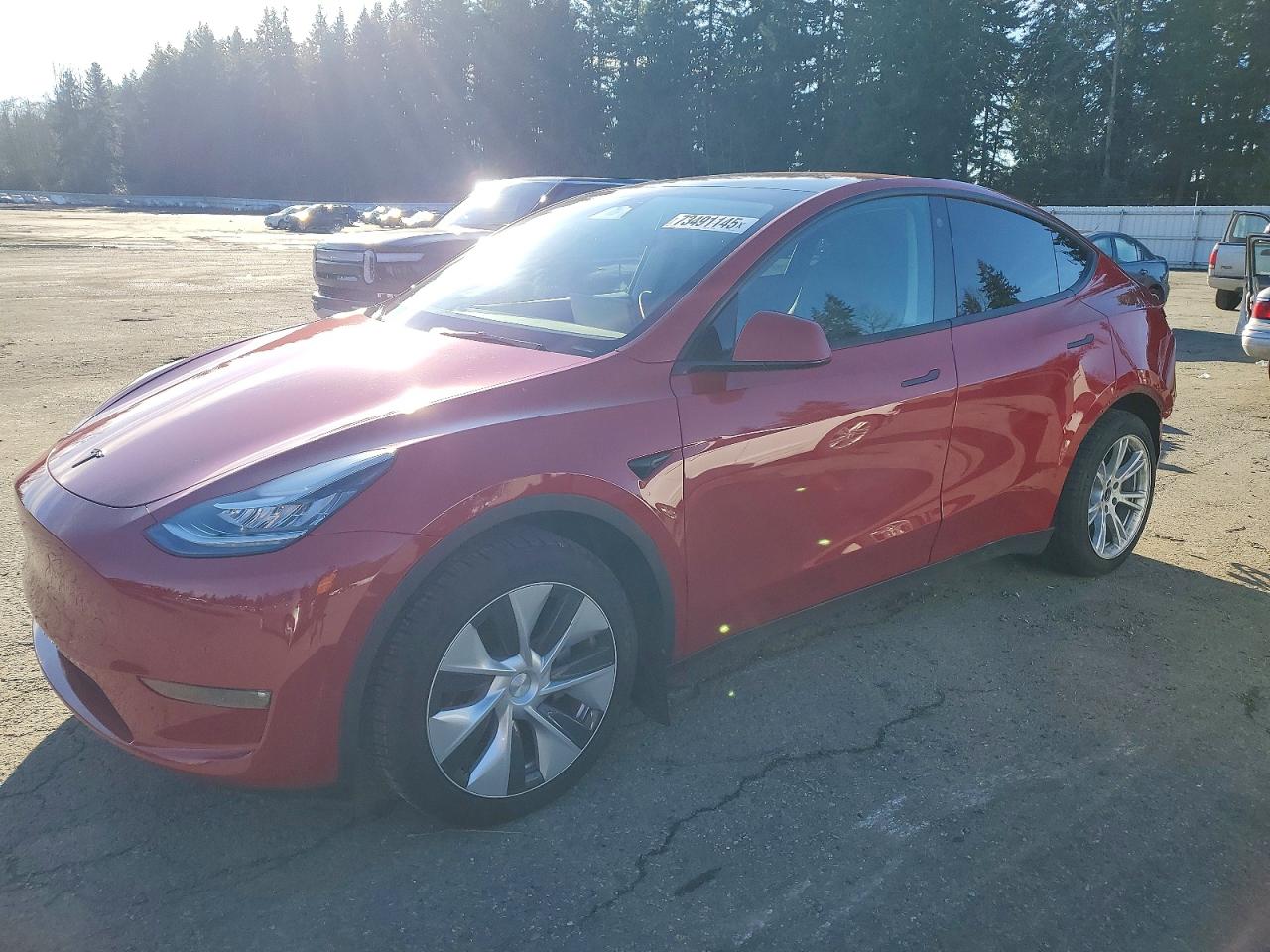 TESLA MODEL Y 2022