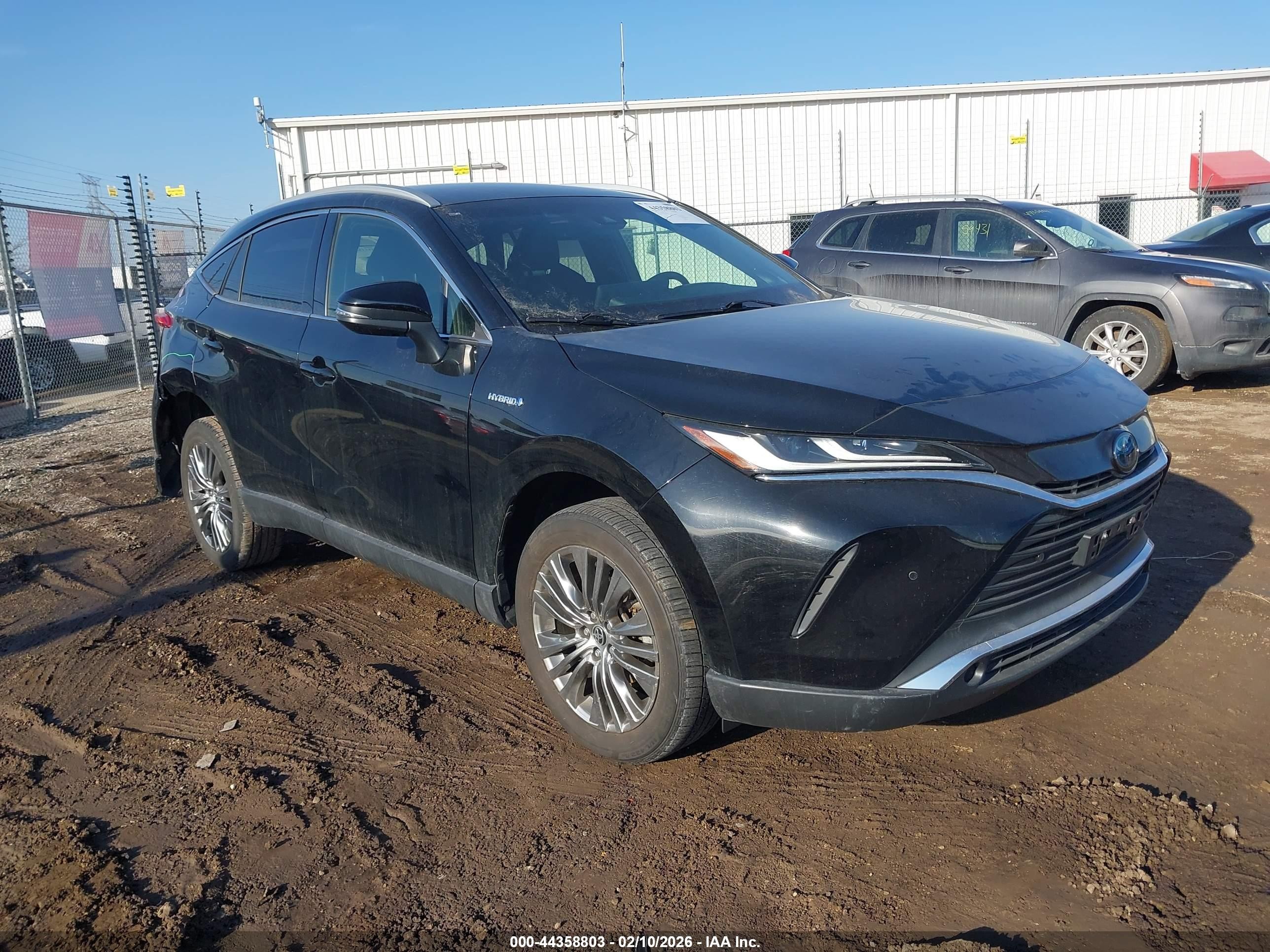 TOYOTA VENZA XLE 2021