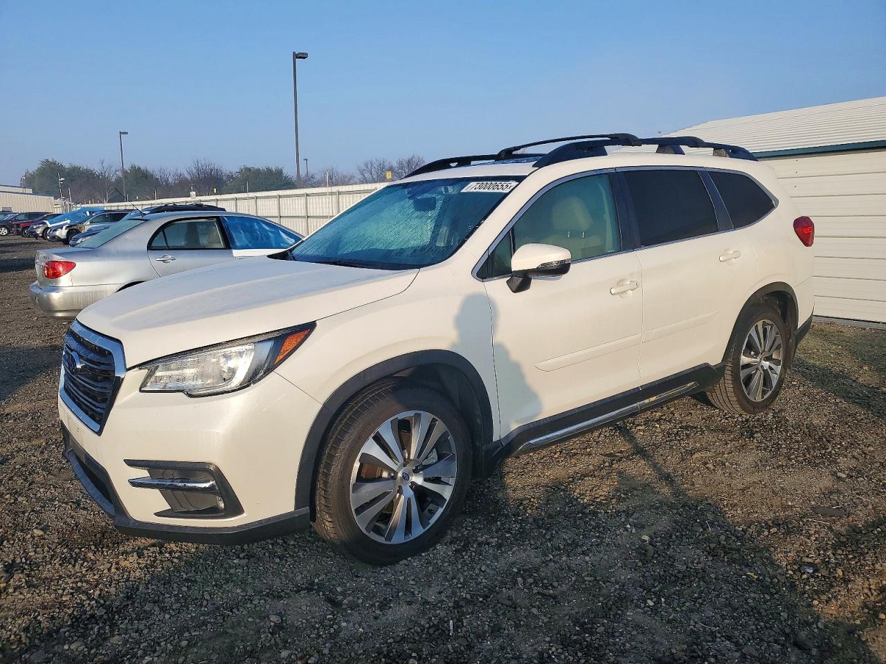 SUBARU ASCENT LIMITED 2021