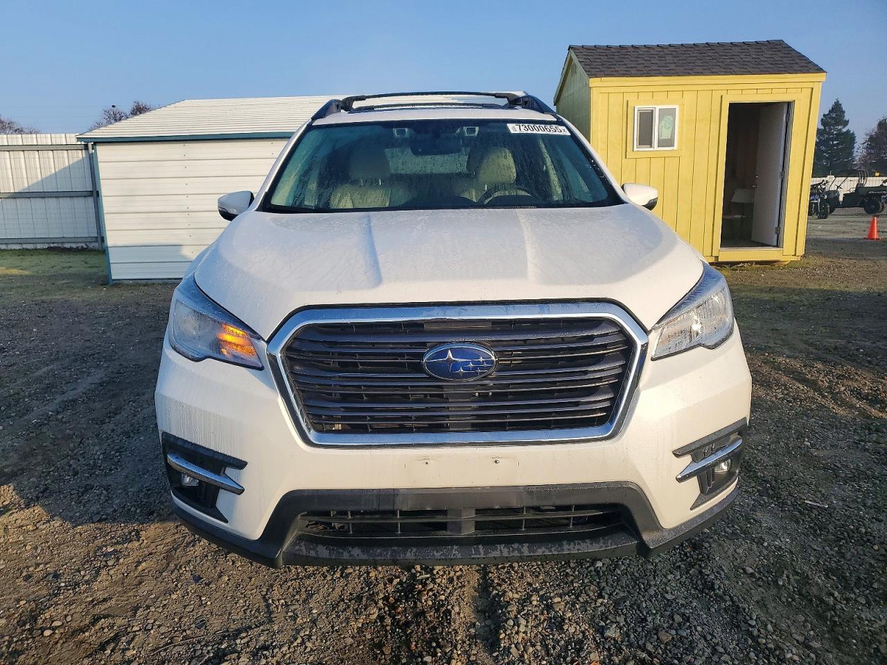 SUBARU ASCENT LIMITED 2021