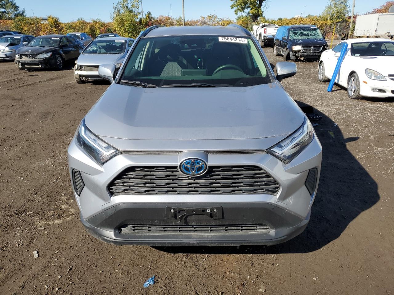 TOYOTA RAV4 XLE 2023