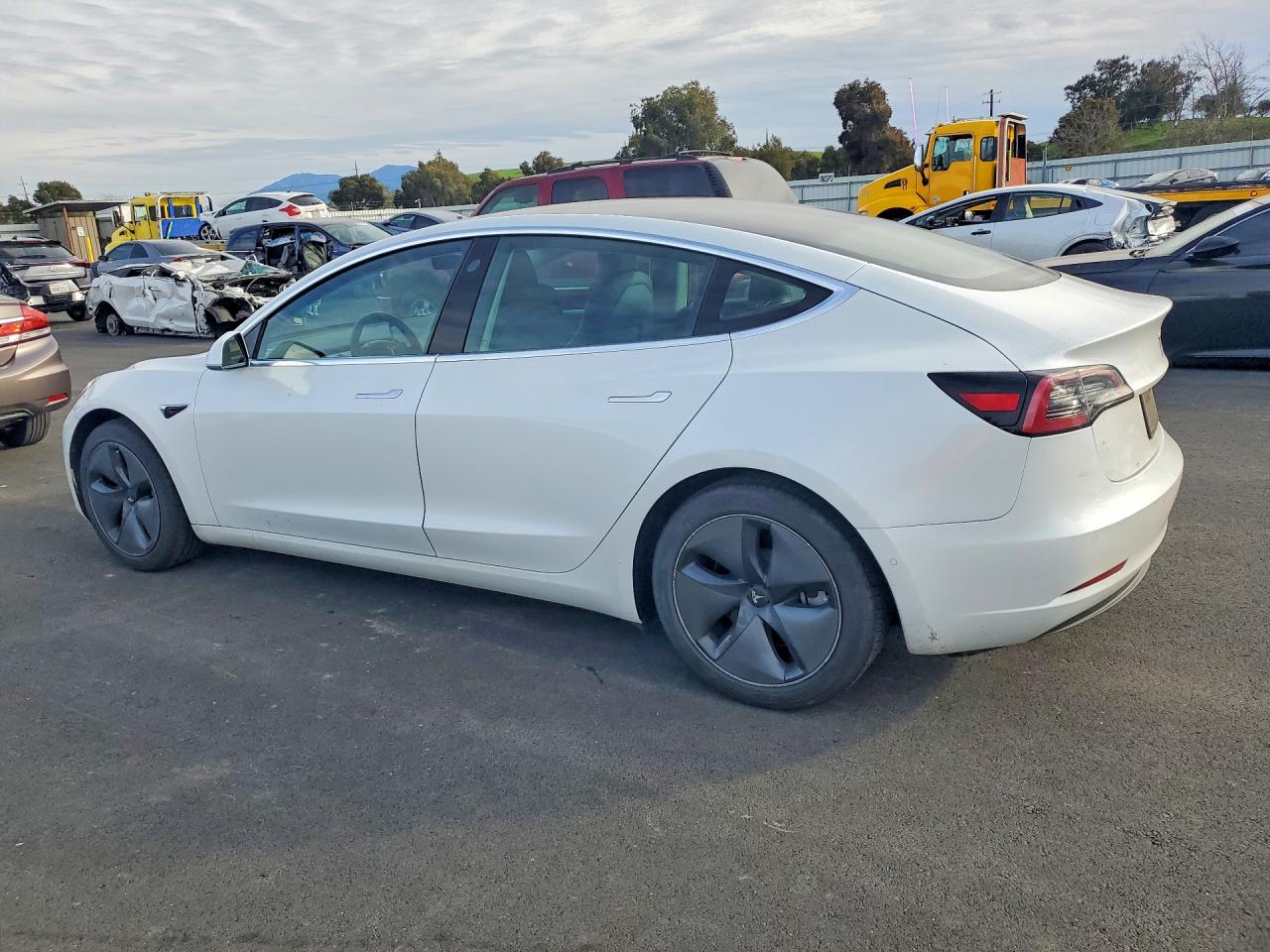 TESLA MODEL 3 2020
