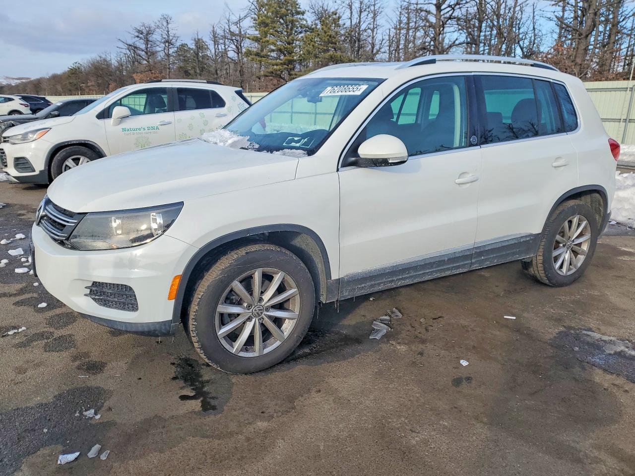 VOLKSWAGEN TIGUAN WOLFSBURG 2017