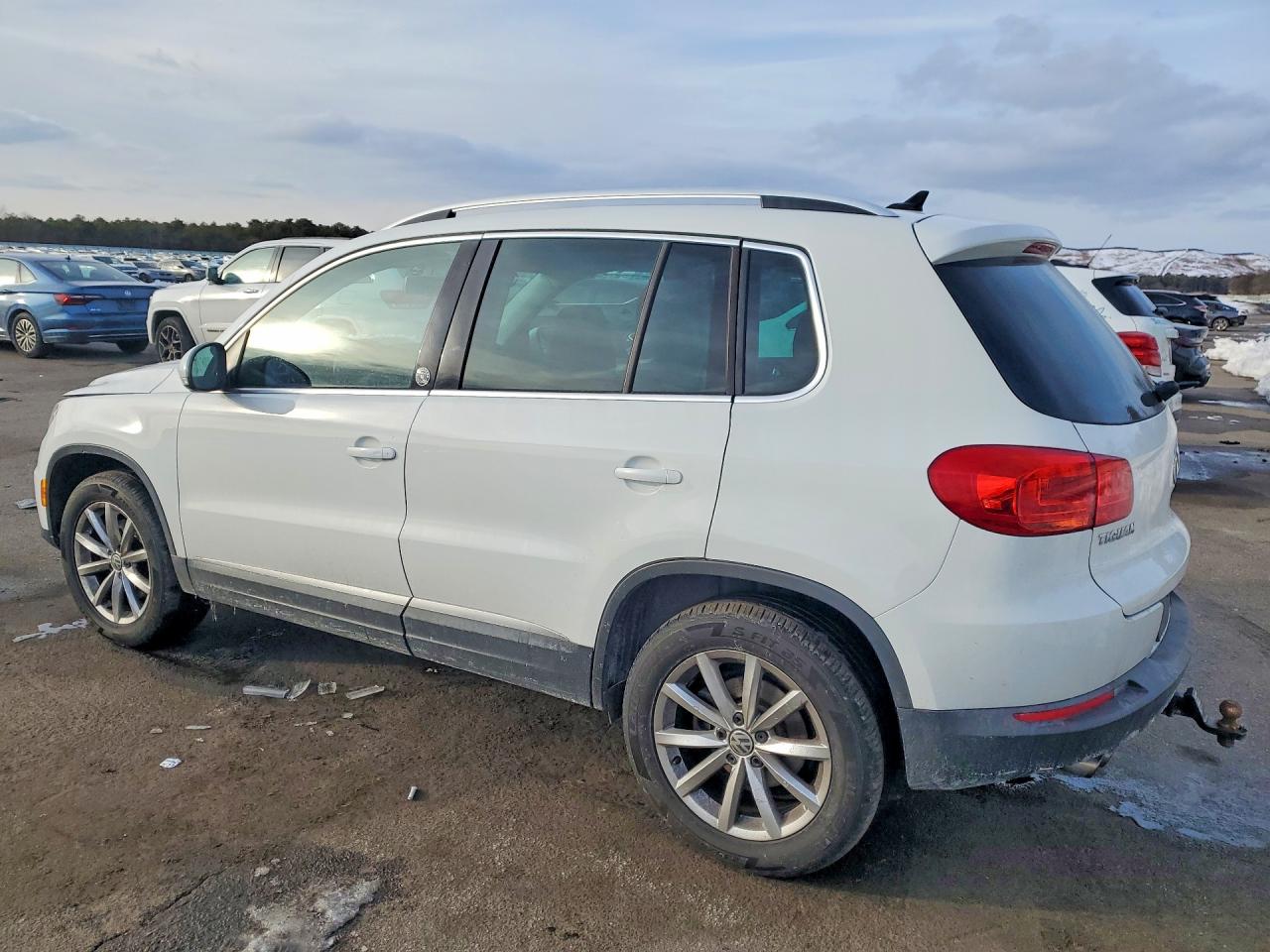 VOLKSWAGEN TIGUAN WOLFSBURG 2017