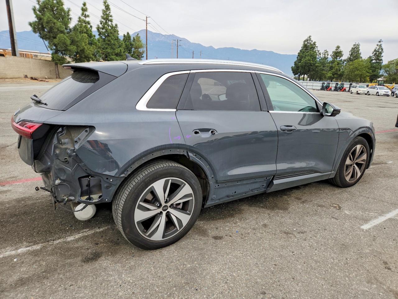 AUDI Q8 E-TRON PREMIUM PLUS 2024