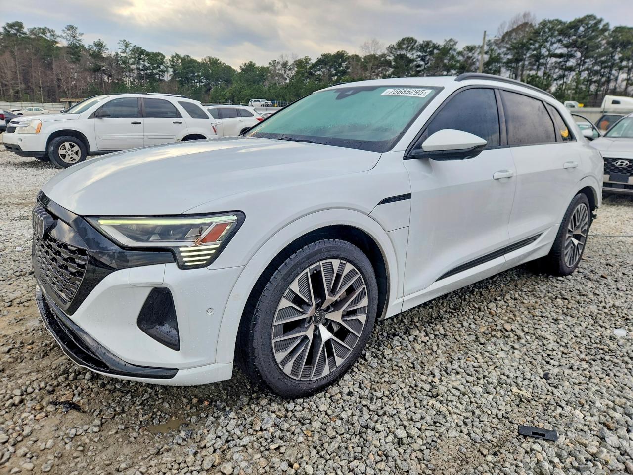 AUDI Q8 E-TRON PRESTIGE 2024