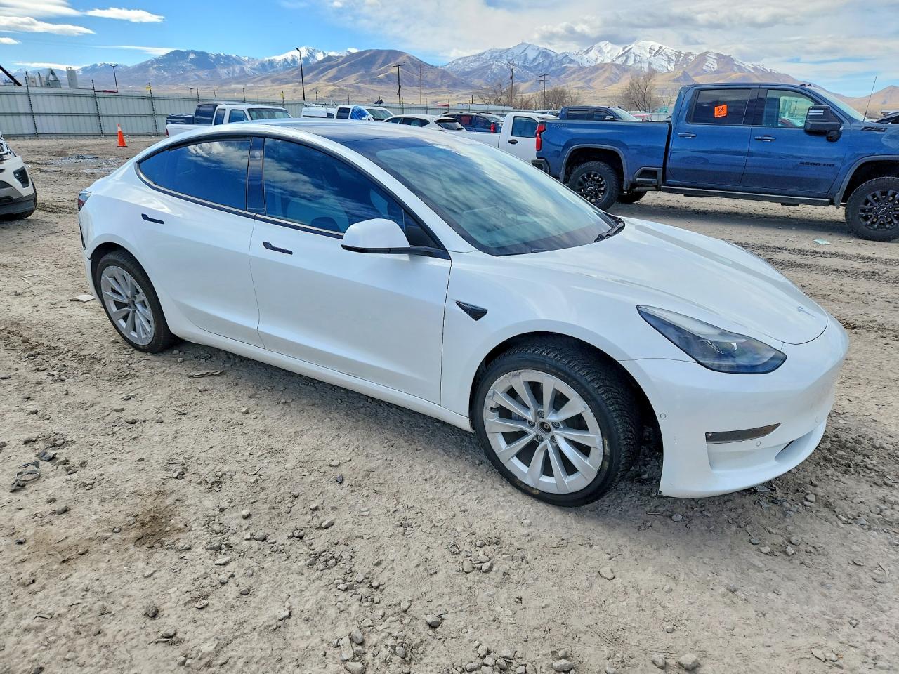 TESLA Model 3 2021