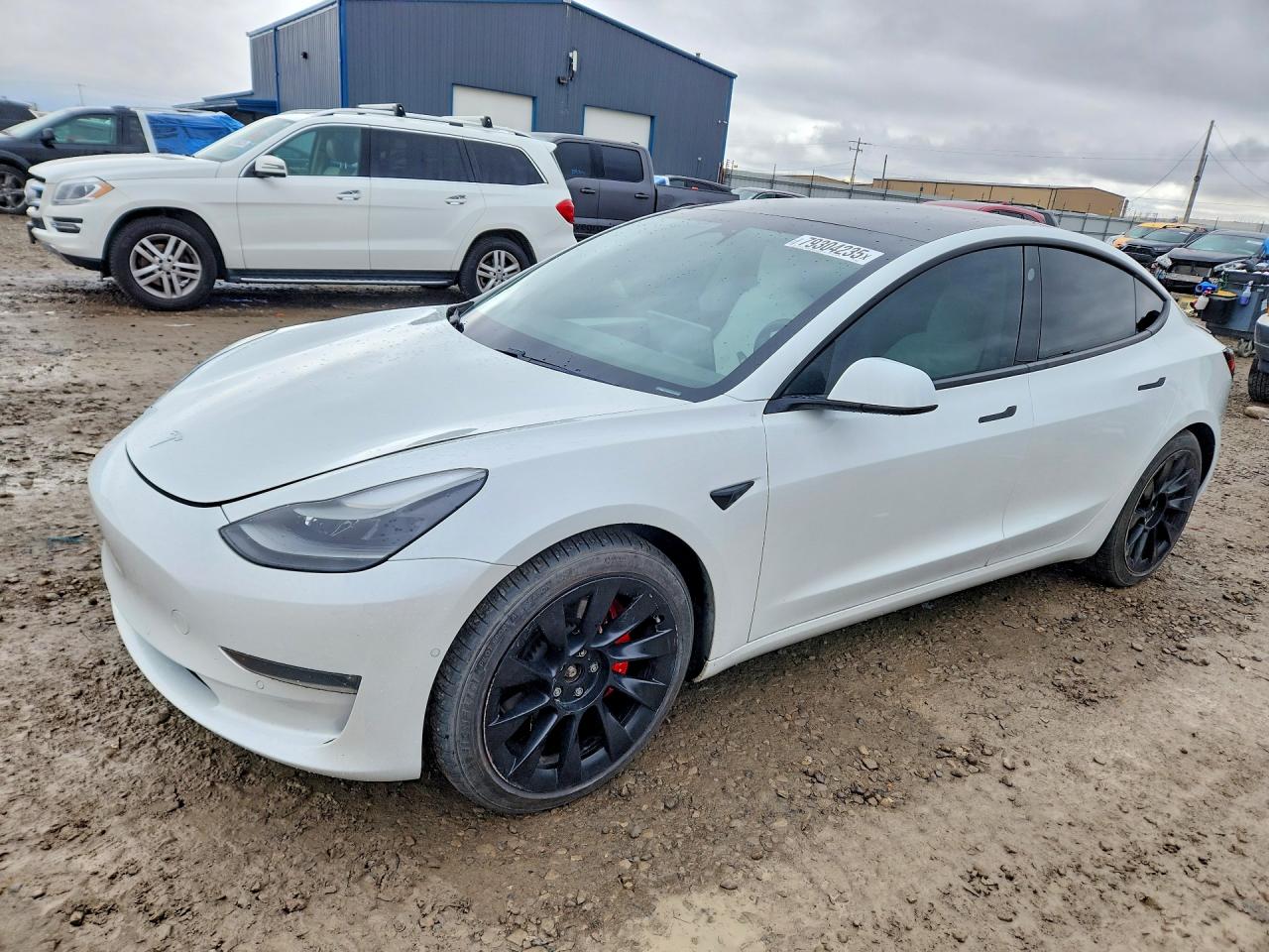 TESLA Model 3 2021