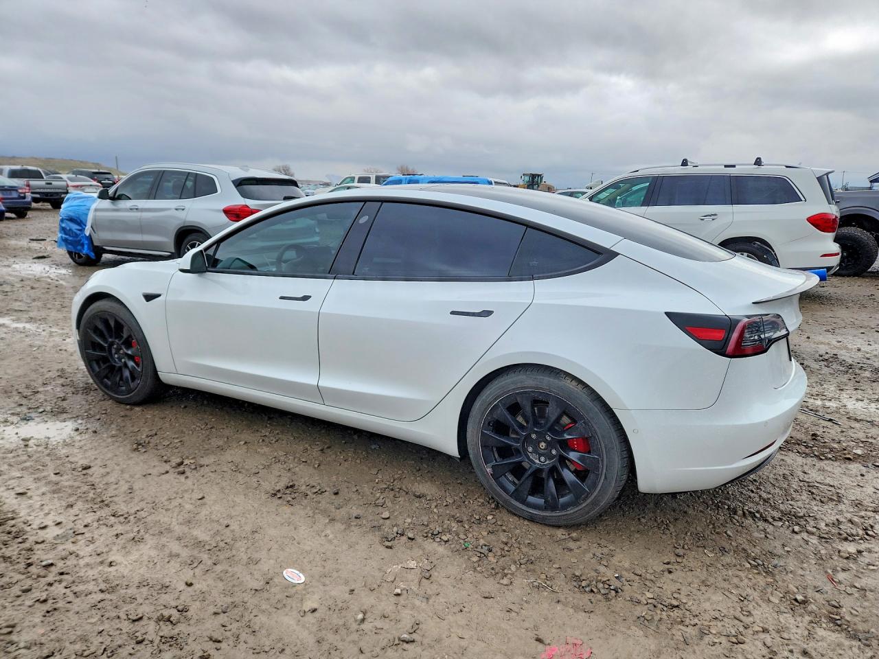 TESLA Model 3 2021