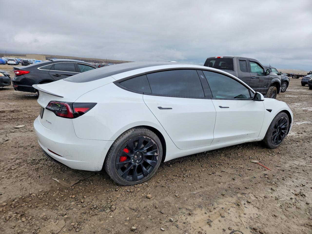 TESLA Model 3 2021