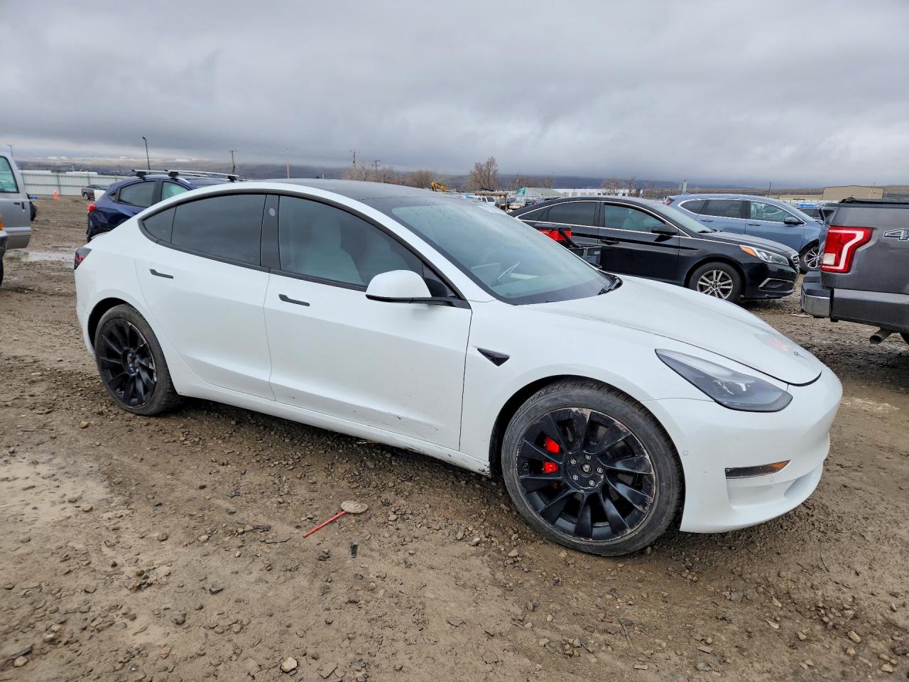 TESLA Model 3 2021