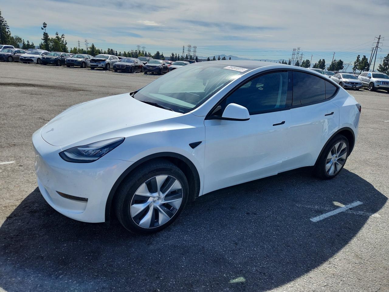 TESLA Model Y 2023