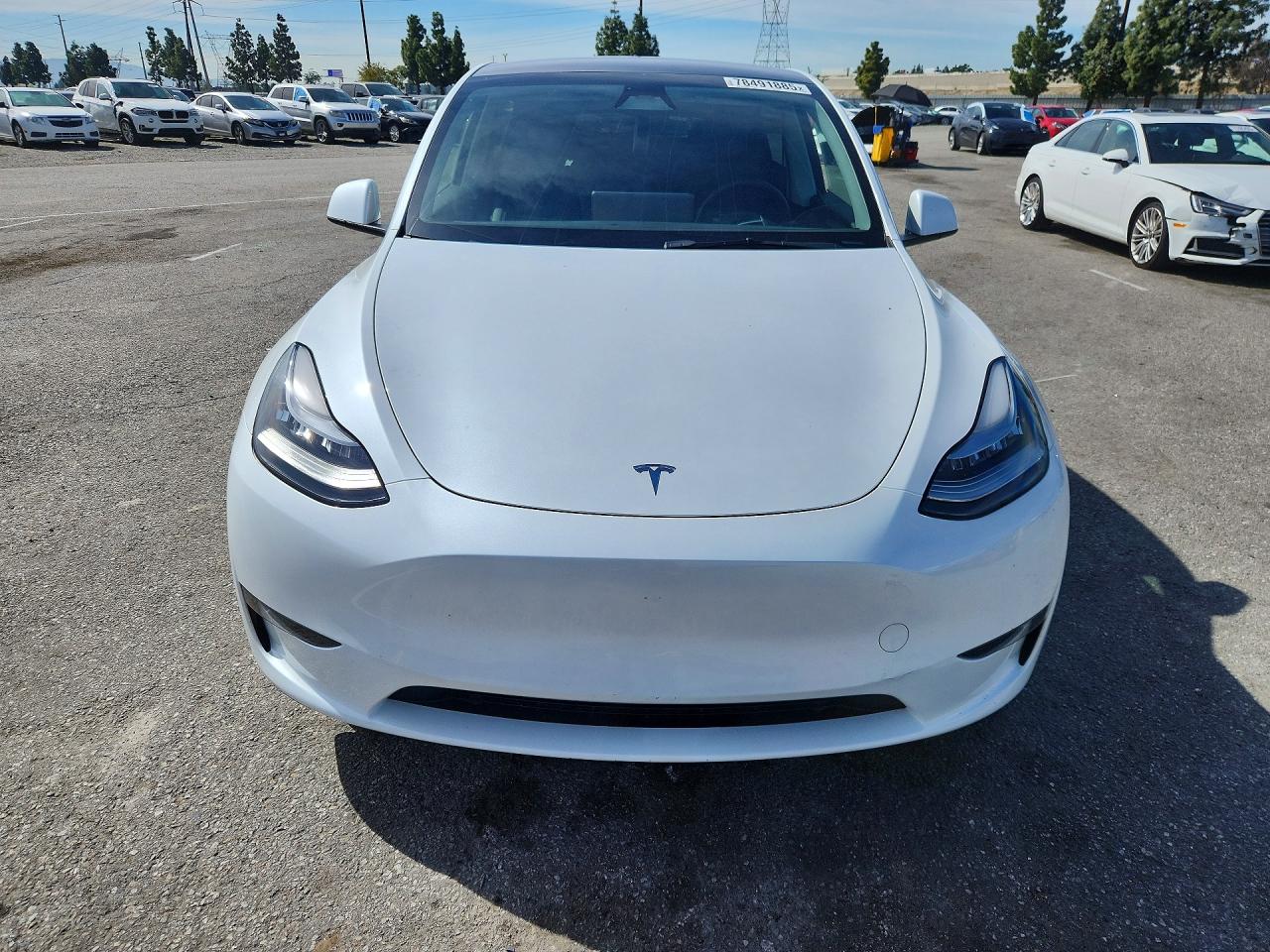 TESLA Model Y 2023