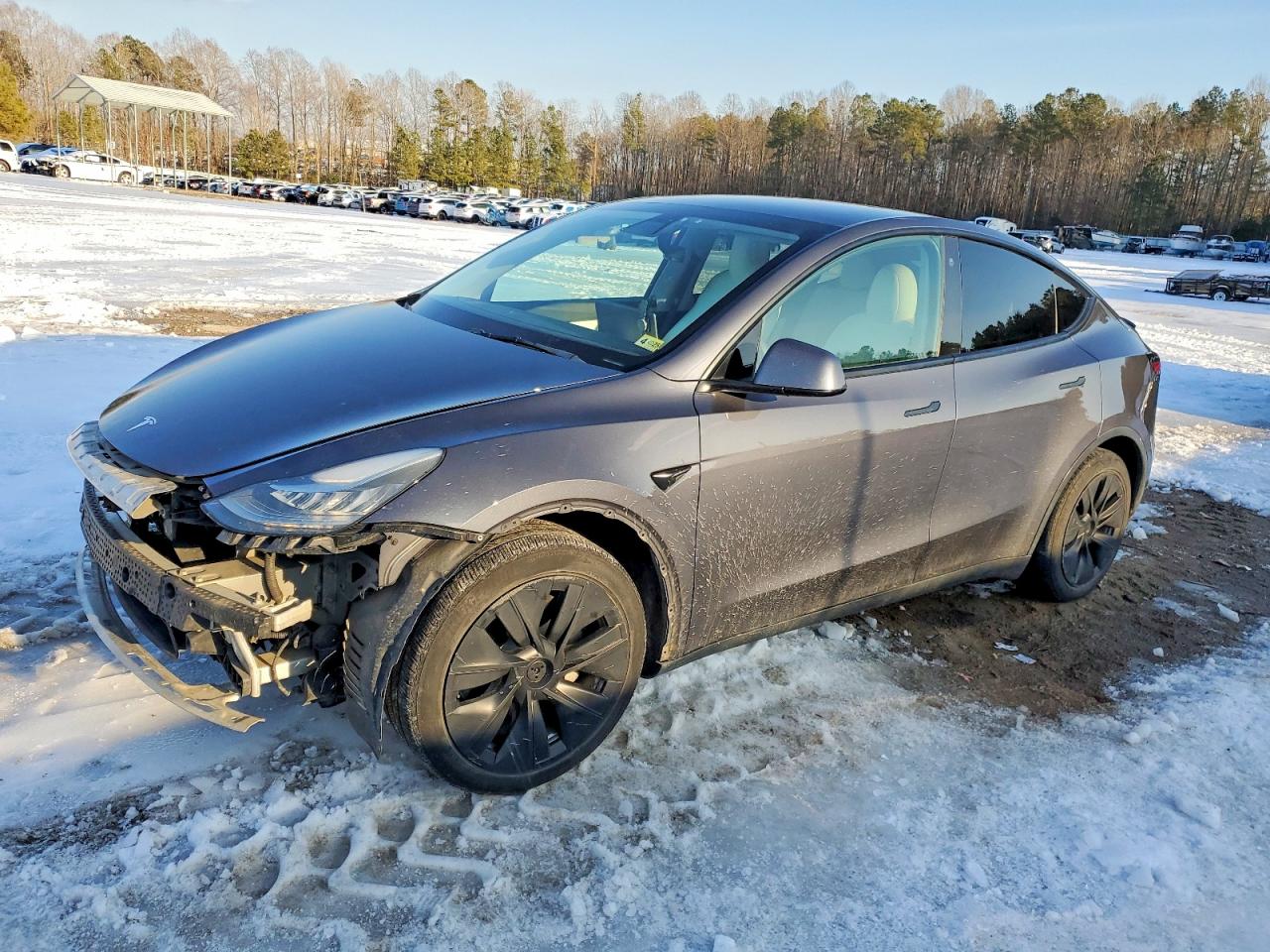 TESLA Model Y 2021
