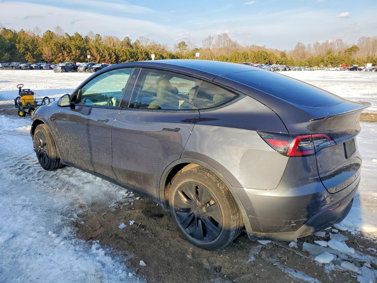TESLA Model Y 2021