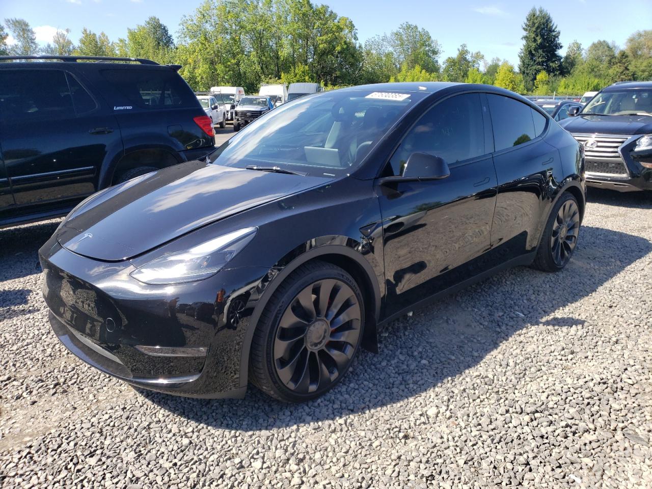 TESLA Model Y 2023