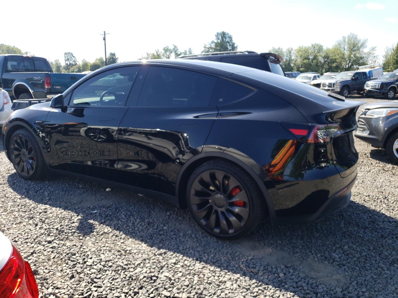 TESLA Model Y 2023