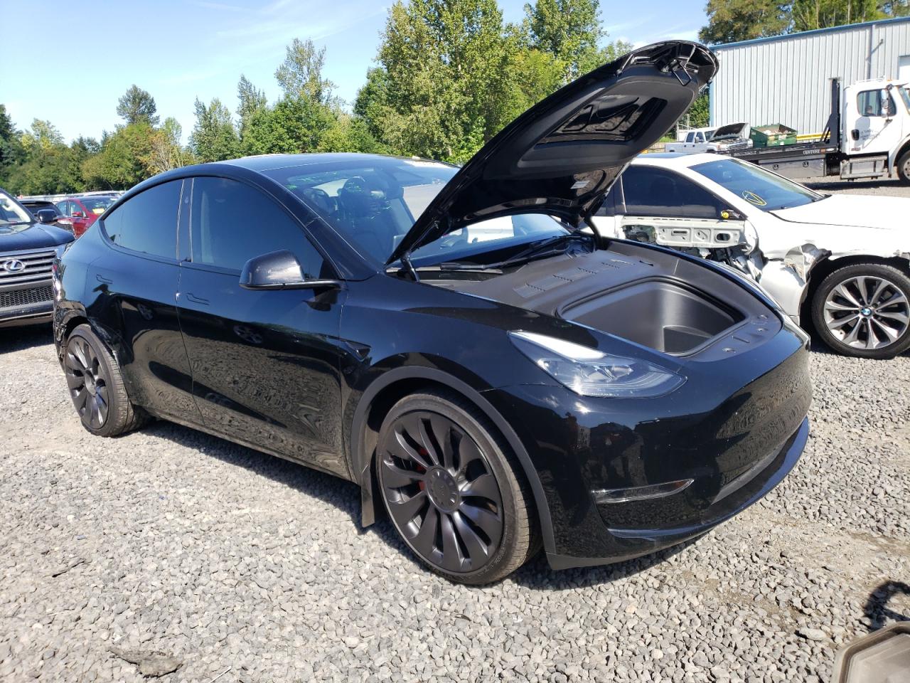 TESLA Model Y 2023