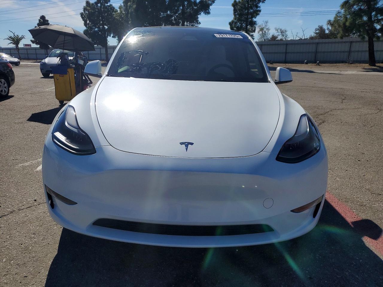 TESLA Model Y 2024