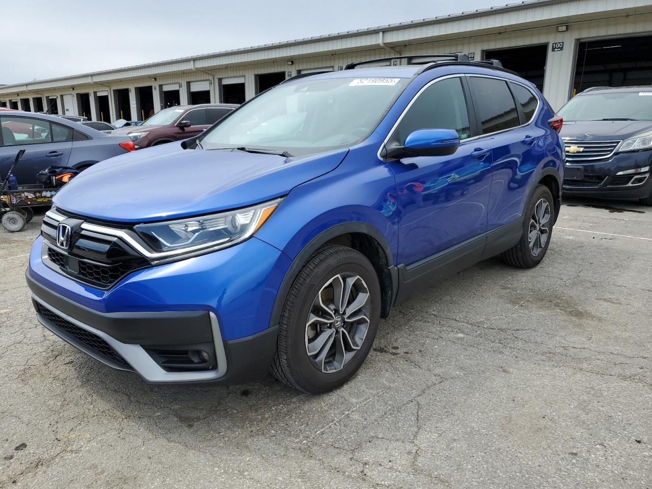 HONDA Cr-v Ex 2020