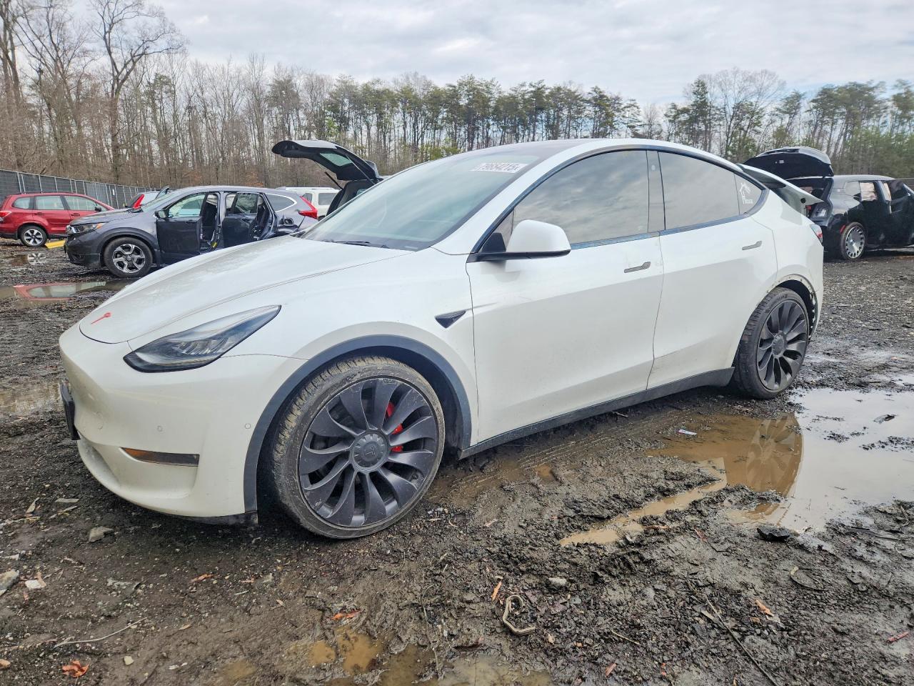 TESLA Model Y 2020