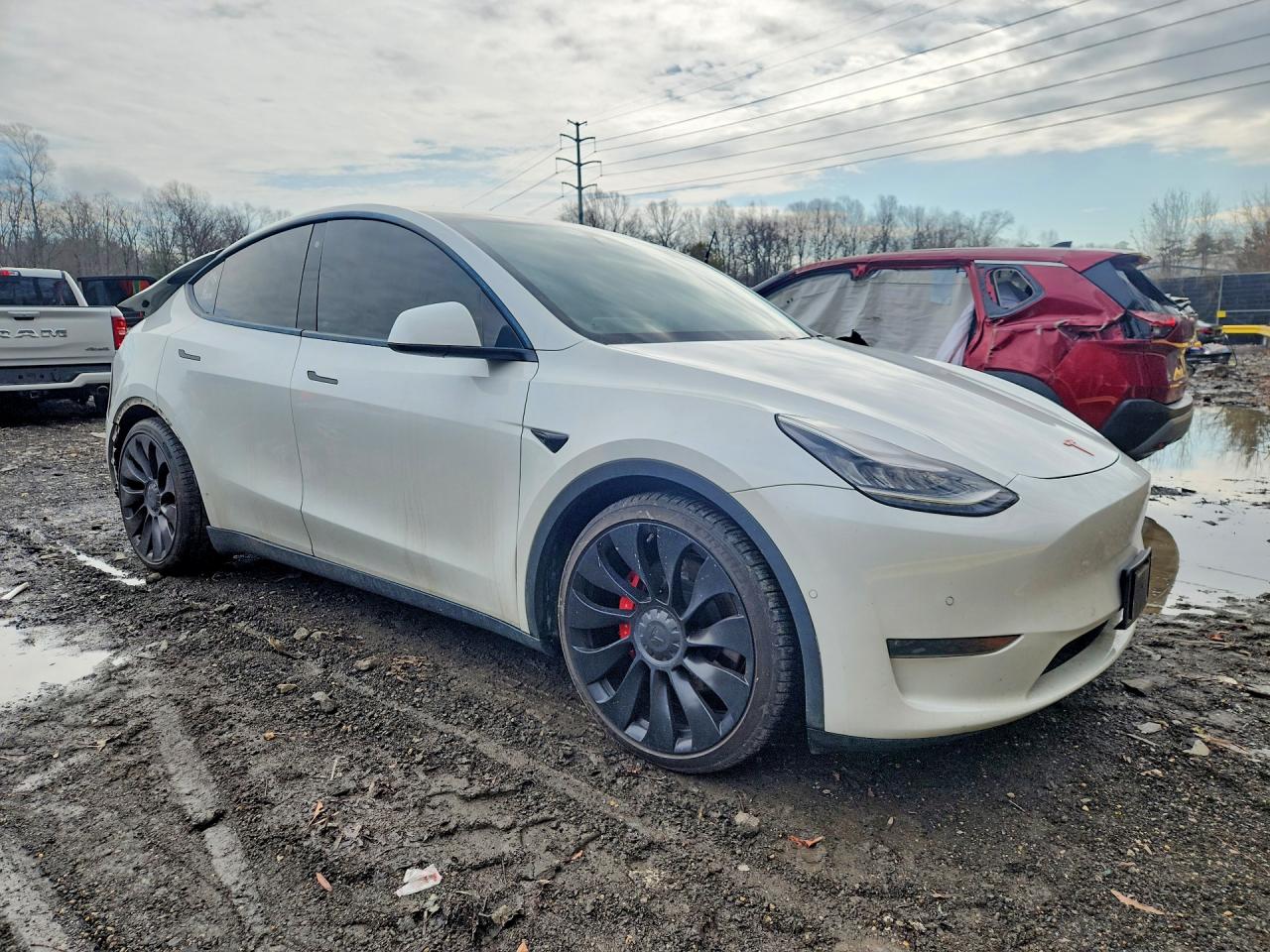 TESLA Model Y 2020