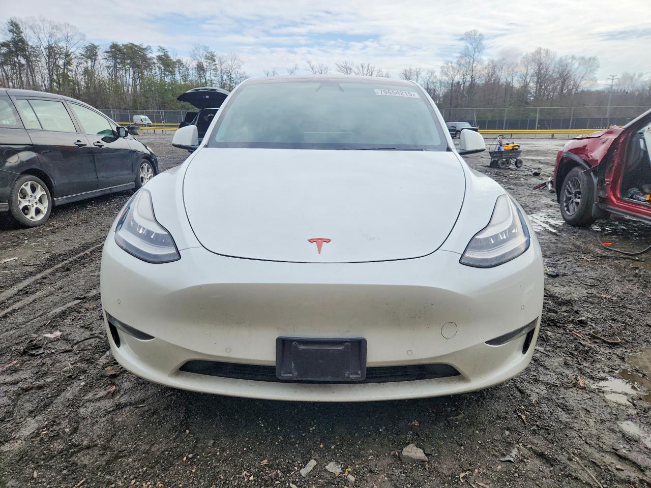 TESLA Model Y 2020