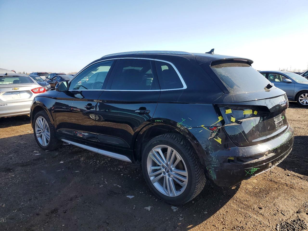 AUDI Q5 Premium Plus 2019
