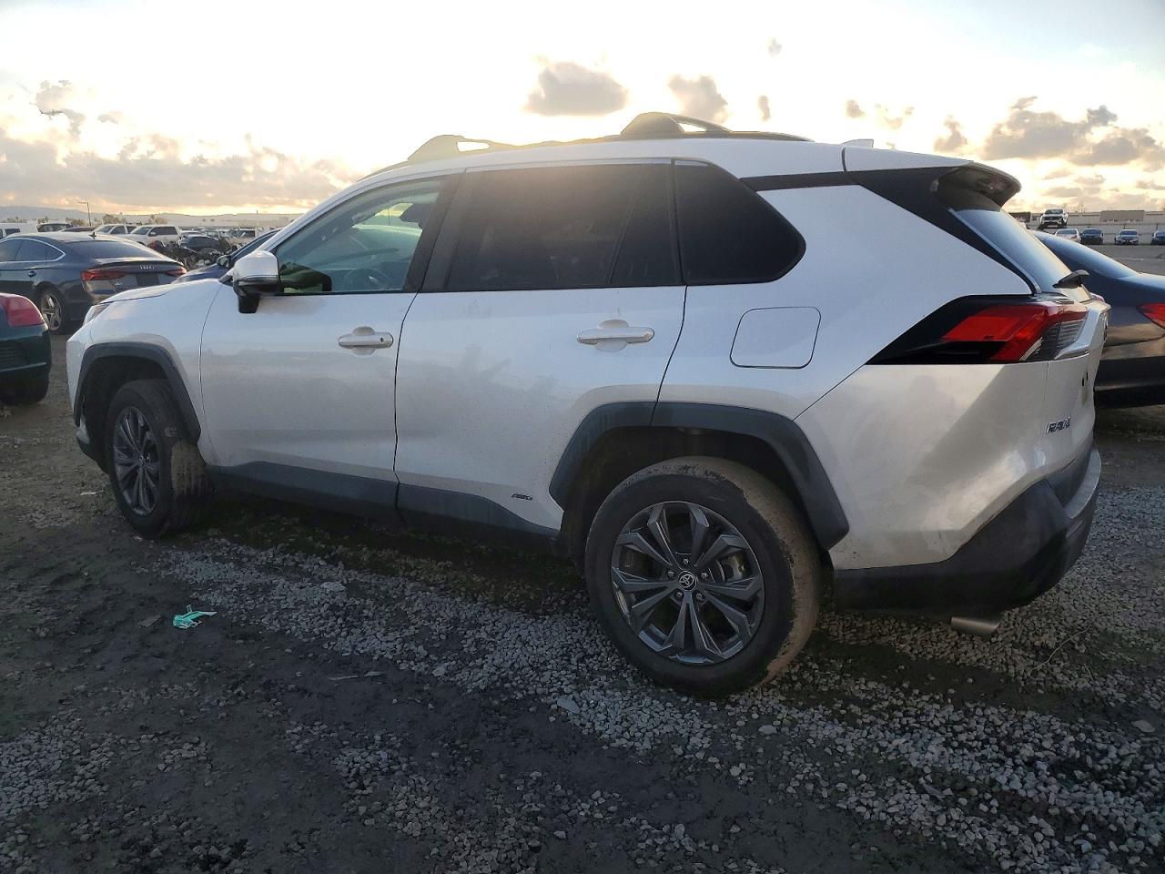 TOYOTA Rav4 2023