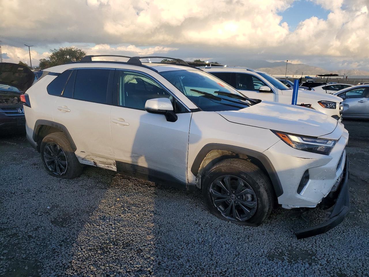 TOYOTA Rav4 2023