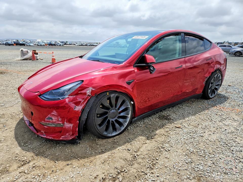 TESLA Model Y 2023