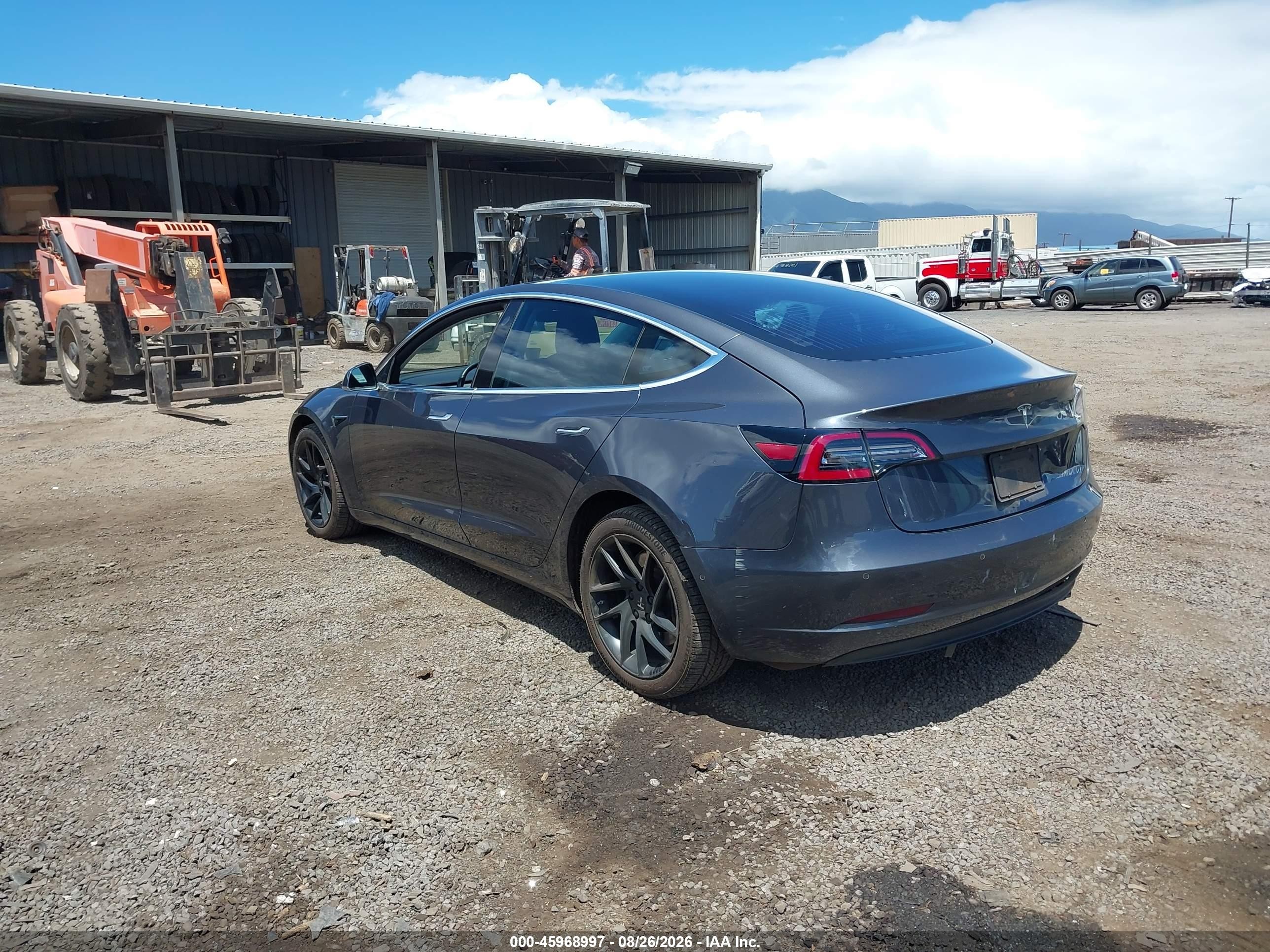 Tesla Model 3 2019