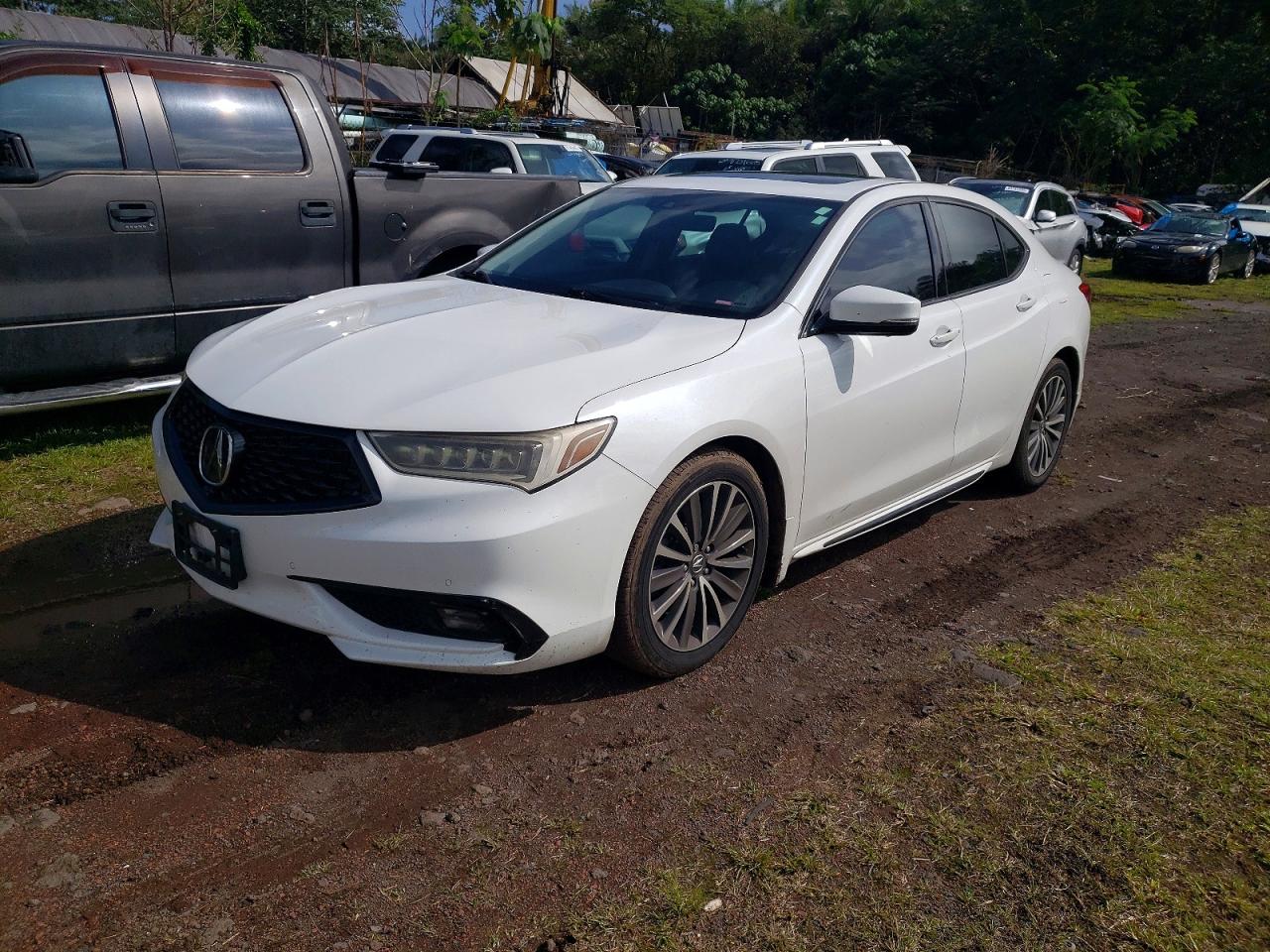 ACURA Tlx Advance 2018
