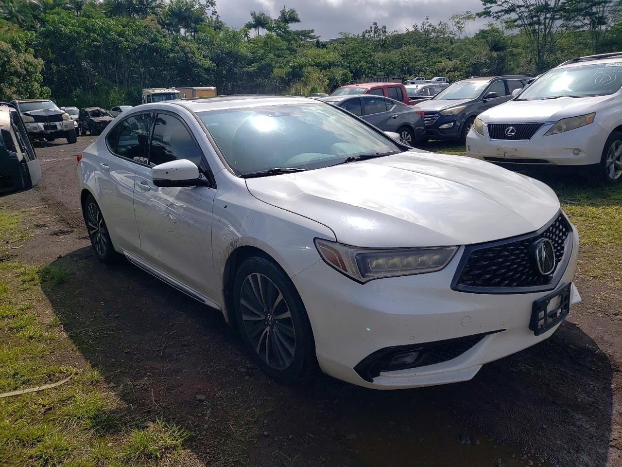 ACURA Tlx Advance 2018
