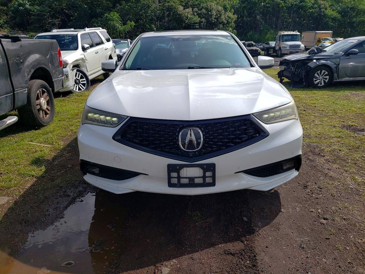 ACURA Tlx Advance 2018