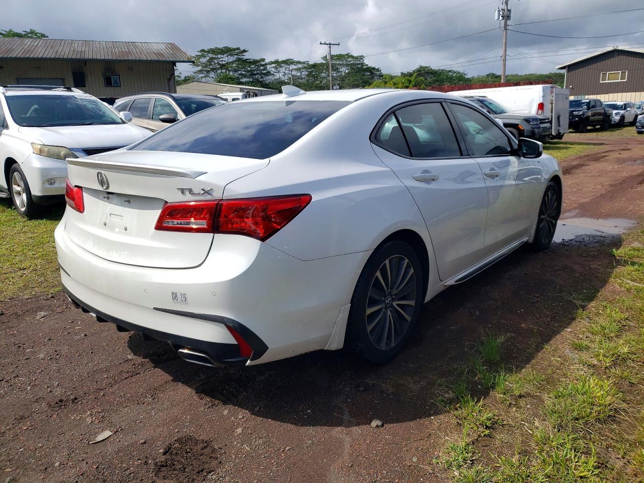 ACURA Tlx Advance 2018