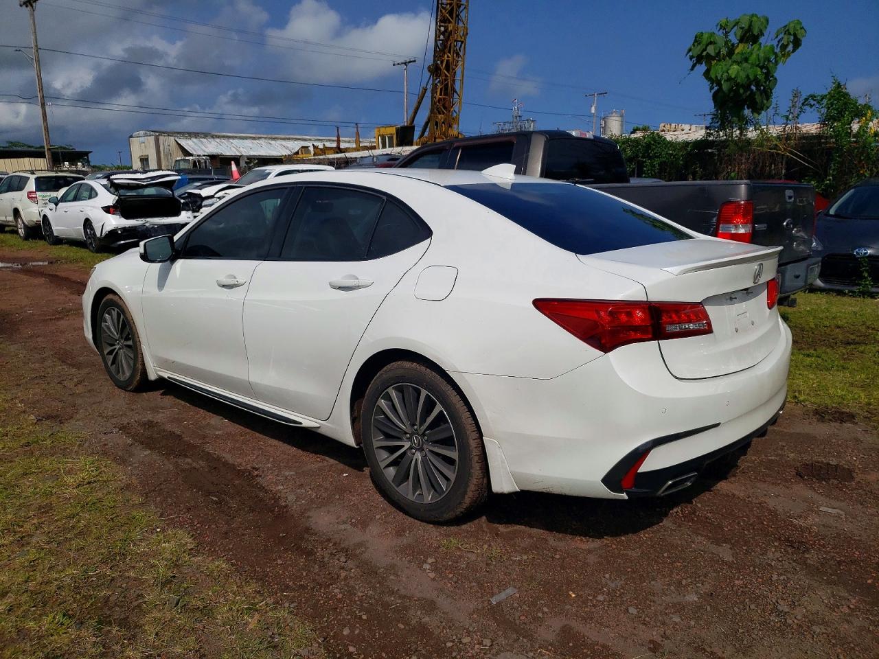 ACURA Tlx Advance 2018