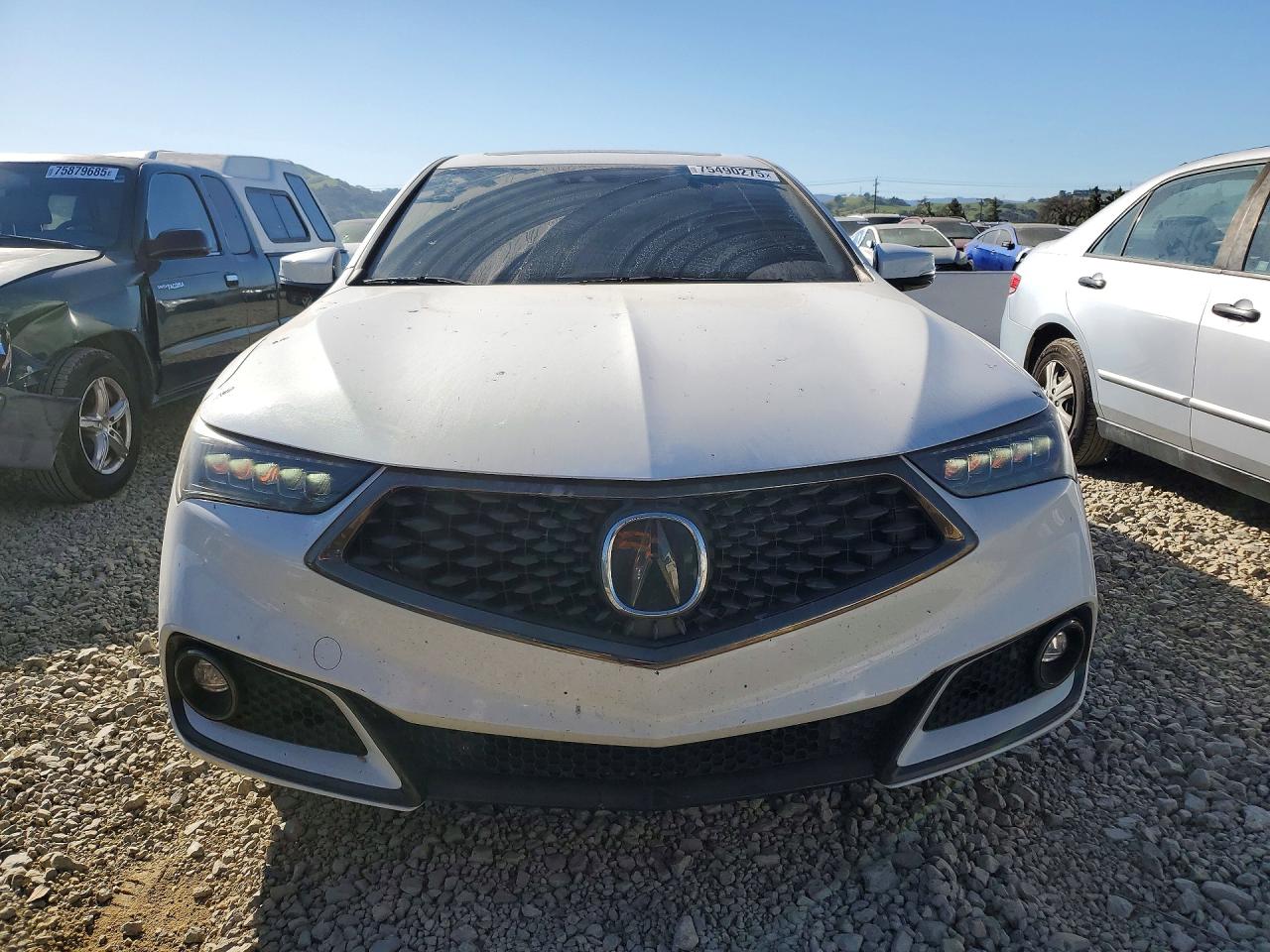 ACURA Tlx Technology 2019