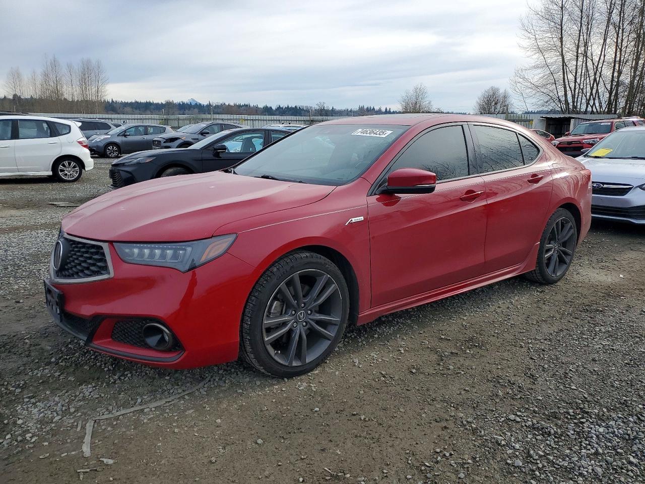 ACURA Tlx Technology 2019