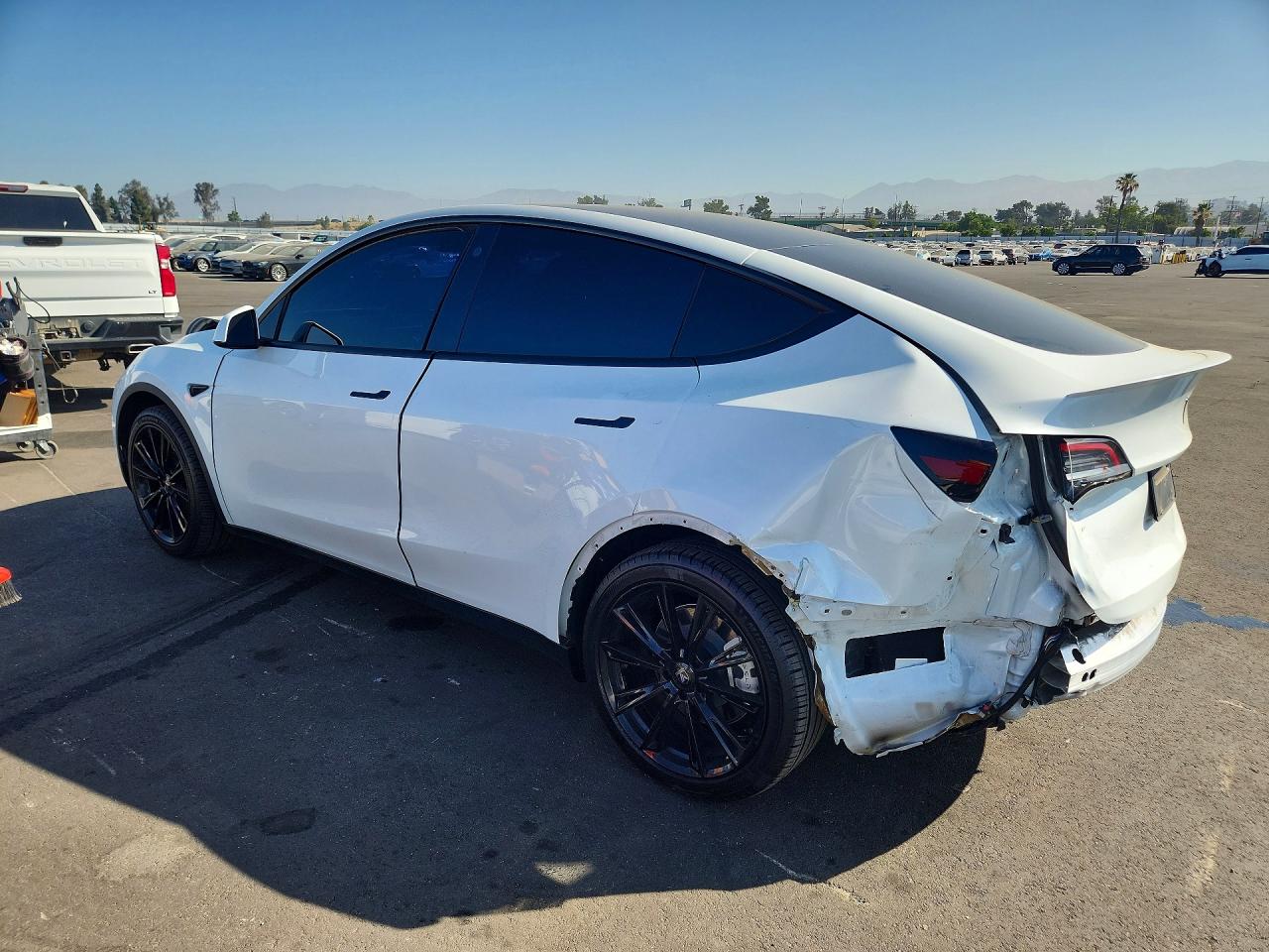 Tesla Model Y 2021